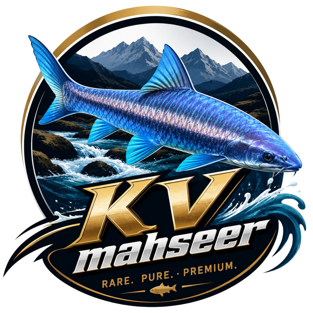 KV Mahseer